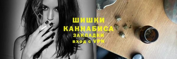 прущие грибы Бугульма