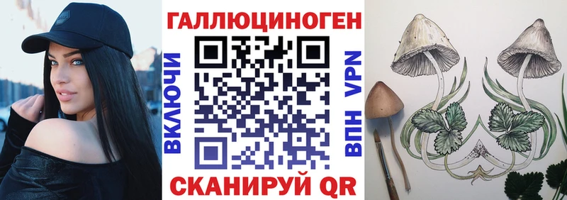 Псилоцибиновые грибы GOLDEN TEACHER Купить где Бугульма